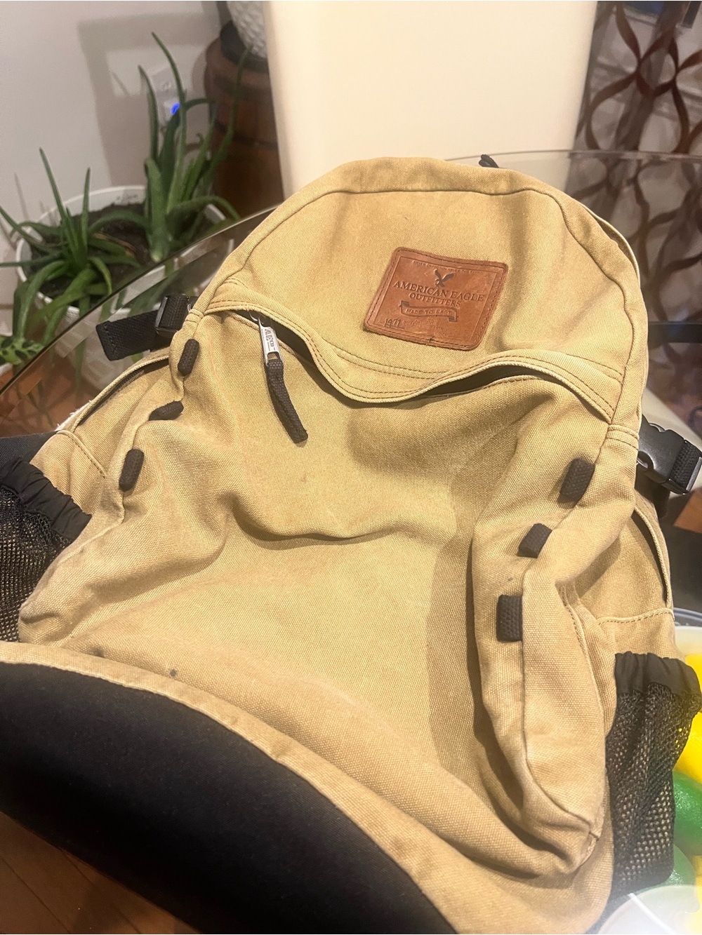 Vintage Rare American Eagle Canvas Backpack.